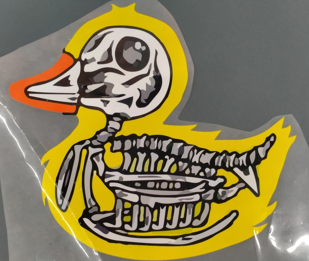 Skeleton Duck print