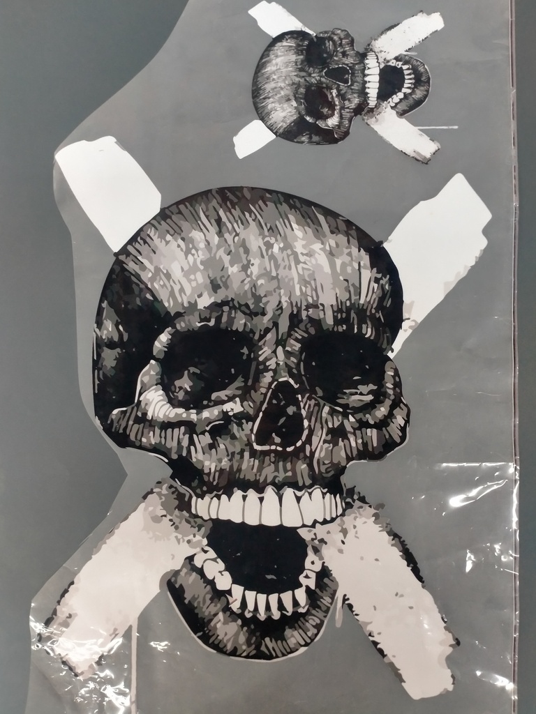 Victim Skull print