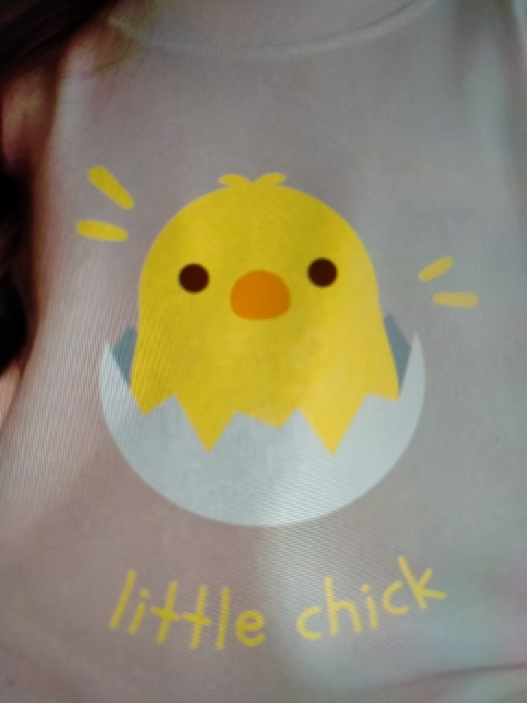 Little Chick print