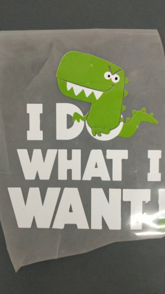 I Do What I Want print