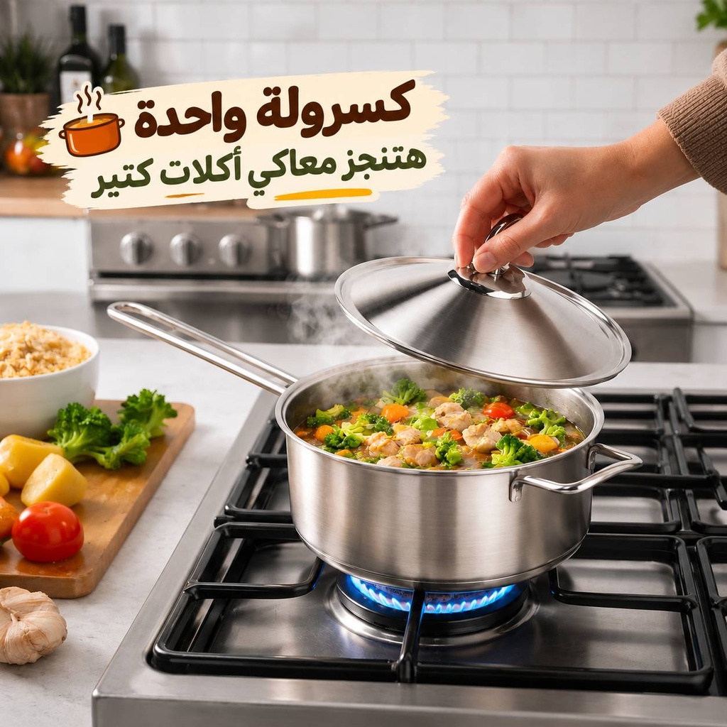 كسرولة استانلس ستيل تركي بغطاء ويد لسهولة الحمل مقاس 22سم