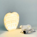 رينج لايت بتصميم تفاحة ب 3 اضاءات مع مشبك للتعليق بيو اس بي للشحن