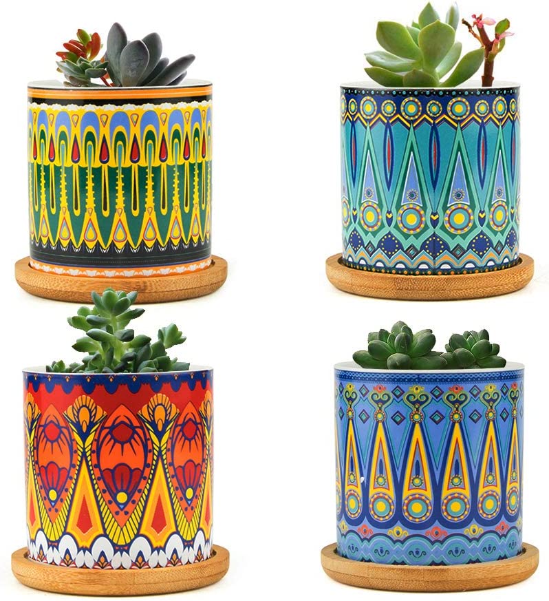 زرع صبار صناعي بقاعدة سيراميك بأشكال مختلفة