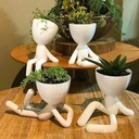 ورد صناعي روبوت باشكال واوضاع مختلفة لتجديد الديكور