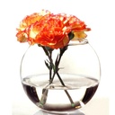 فازة ورد وحوض سمك لتغيير وتجديد ديكور البيت زجاج شفاف 825 ملي