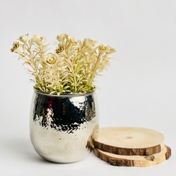 [HH00017851] اصيص زرع بتصميم ديكوري مزخرف _ باللون الفضي